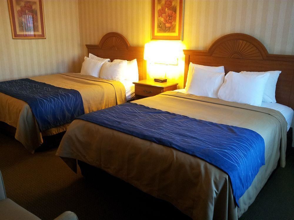 Stanford Inn & Suites Anaheim Bagian luar foto